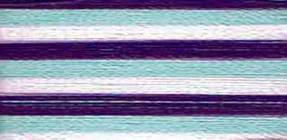 9302 Floriani Thread 40 weight 1000M - VARITHREAD WILDBERRY - Prismatic Fiber Arts