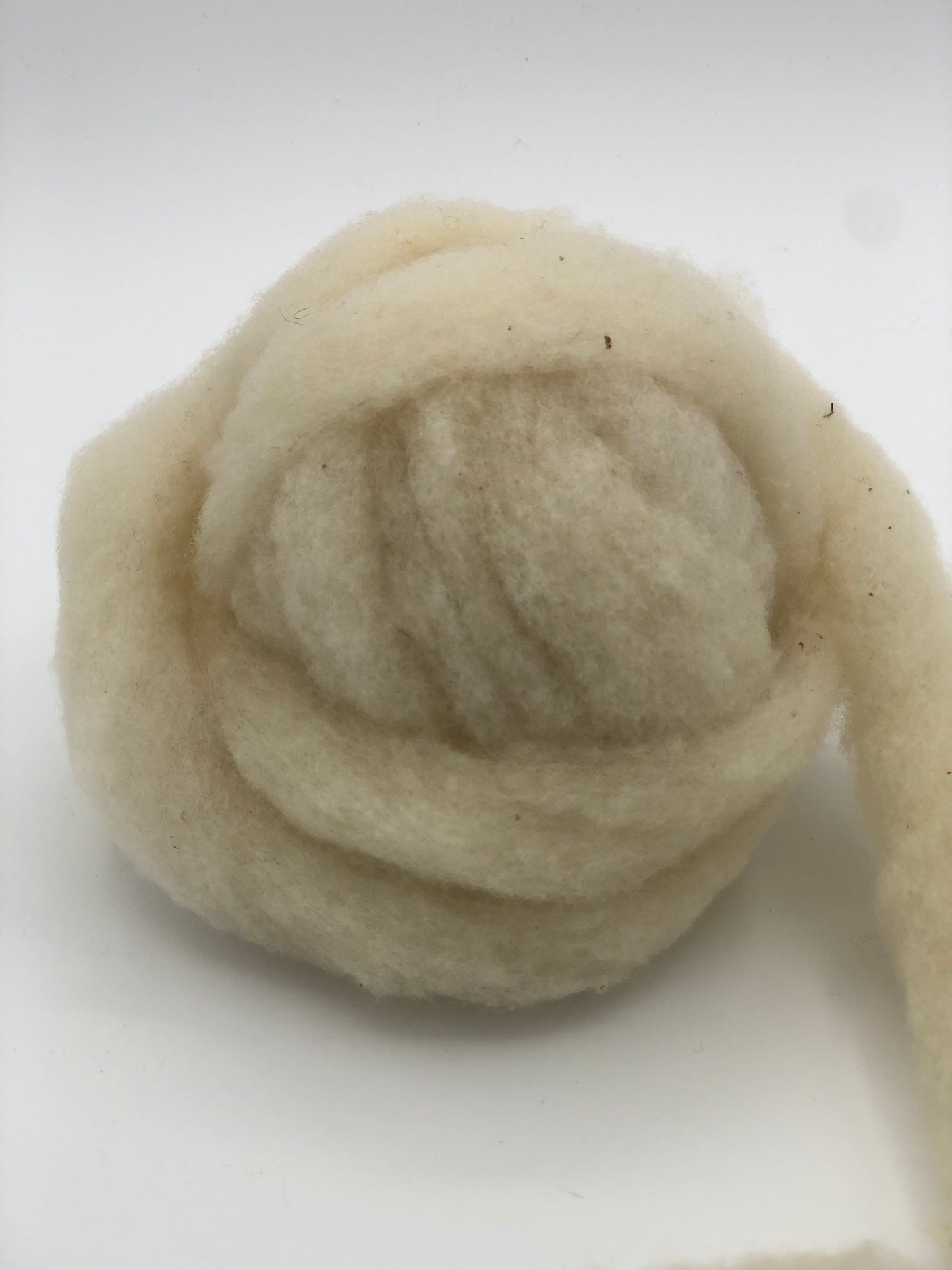 Suffolk Dorset Cross: Cream - Prismatic Fiber Arts