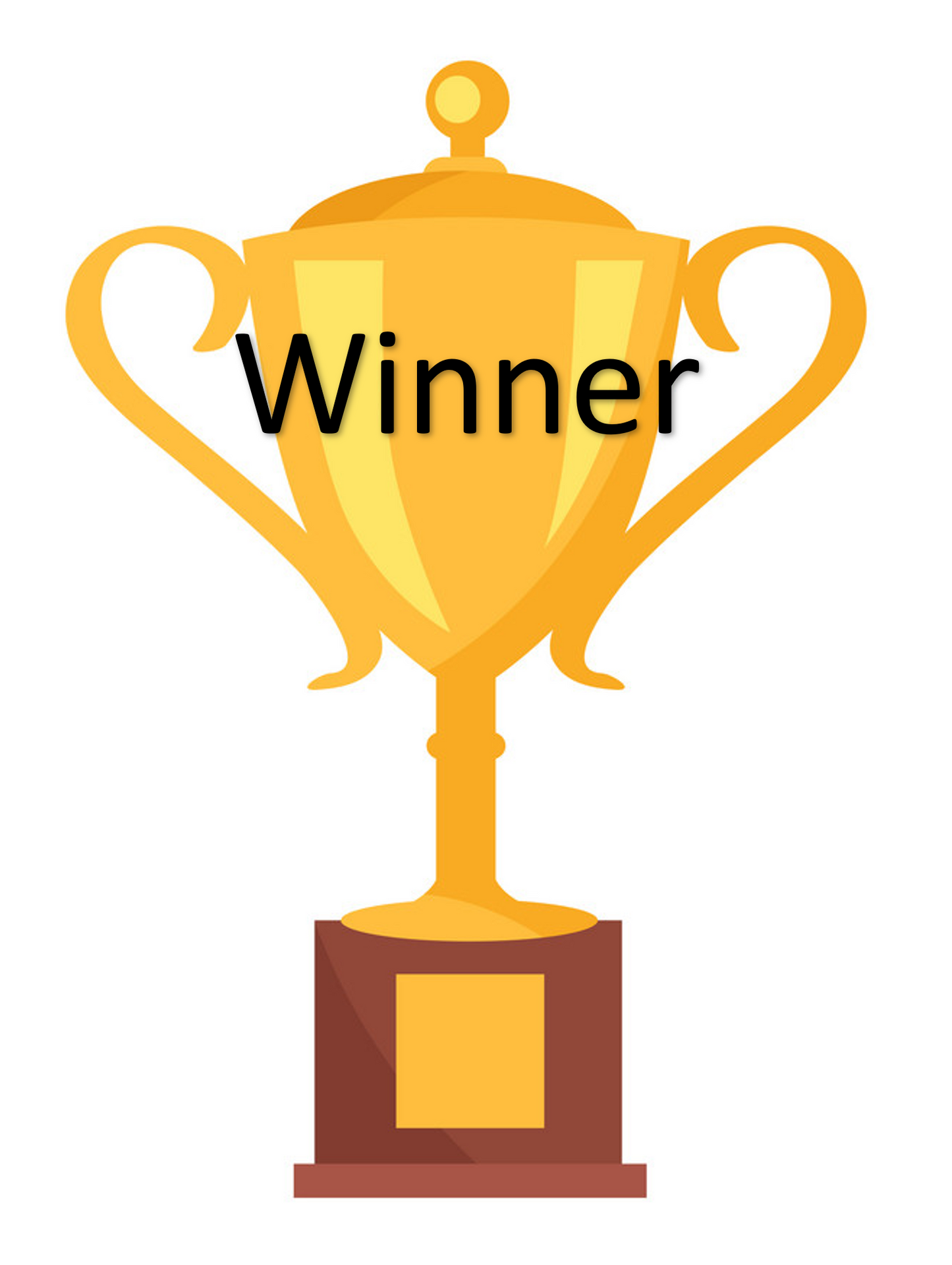 Prize - Prismatic Fiber Arts