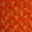 Swirl Rosebud Faux Fur Fabric - Prismatic Fiber Arts