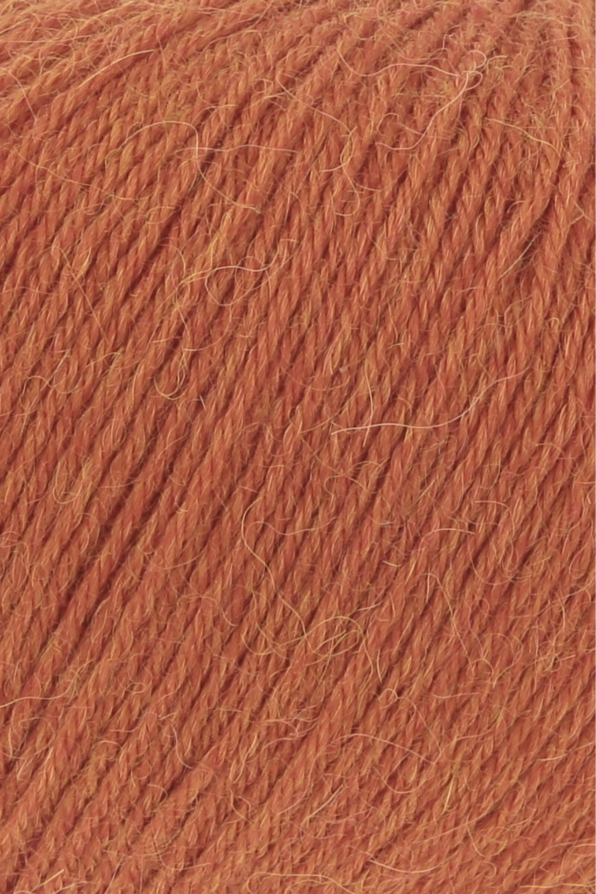Alpaca Soxx 4-PLY Yarn