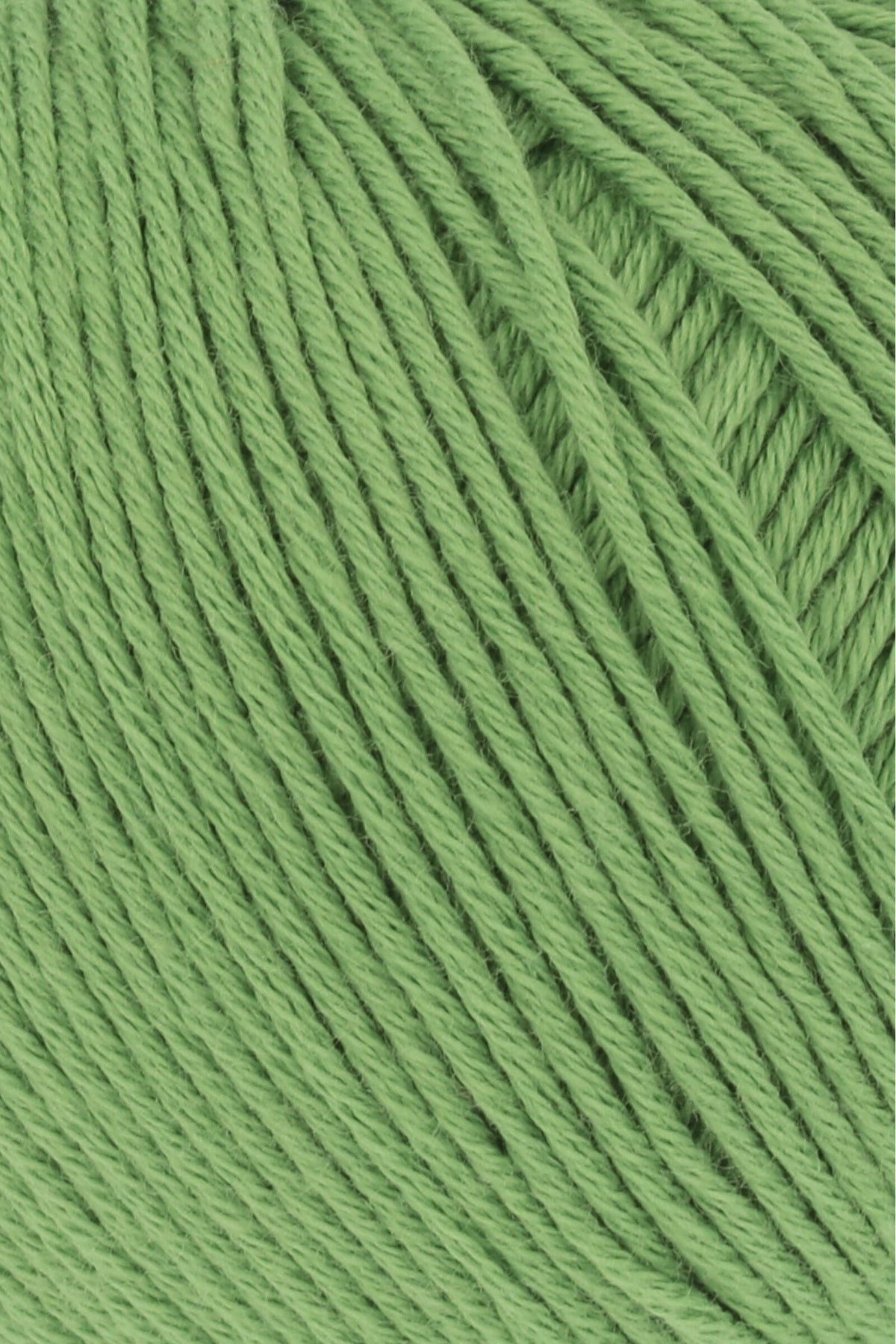 Baby Cotton Yarn - Prismatic Fiber Arts