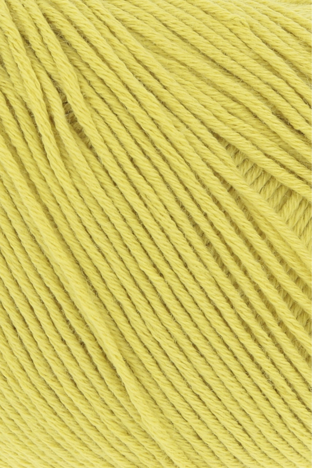 Baby Cotton Yarn - Prismatic Fiber Arts