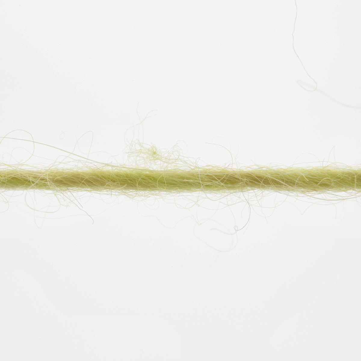 Aurora Yarn