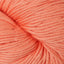 Modern Cotton Yarn