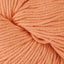 Modern Cotton Yarn
