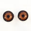 Dark Brown Elephant Sew-On Button Glass Eyes - Prismatic Fiber Arts