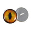 Creamy Orange Realistic Cat Sew-On Button Glass Eyes - Prismatic Fiber Arts