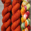Farmer's Market 3 skein kit - Prismatic Fiber Arts