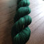 Pine and Holly - Prismatic Fiber Arts