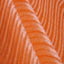 Swirl Velvet Flocking Fabric - Prismatic Fiber Arts