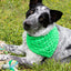 Best Bandana - Prismatic Fiber Arts