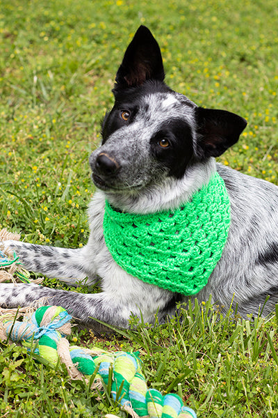 Best Bandana - Prismatic Fiber Arts