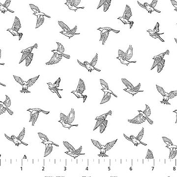 White/Black 28533-10 Nature's Sketchbook Cotton 44"/45" Fabric Per Yard - Prismatic Fiber Arts