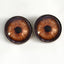 Dark Brown Elephant Sew-On Button Glass Eyes - Prismatic Fiber Arts