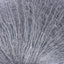 Aerial Yarn