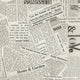 Natural Read All About It Cotton Wideback Fabric Per Yard - Prismatic Fiber Arts