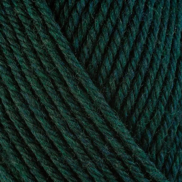 Ultra Wool Chunky Yarn