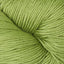 Modern Cotton DK Yarn