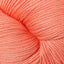 Modern Cotton DK Yarn