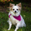 Best Bandana - Prismatic Fiber Arts