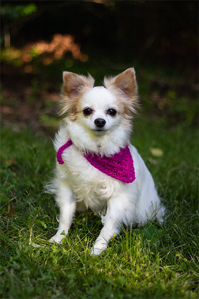 Best Bandana - Prismatic Fiber Arts