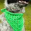Best Bandana - Prismatic Fiber Arts