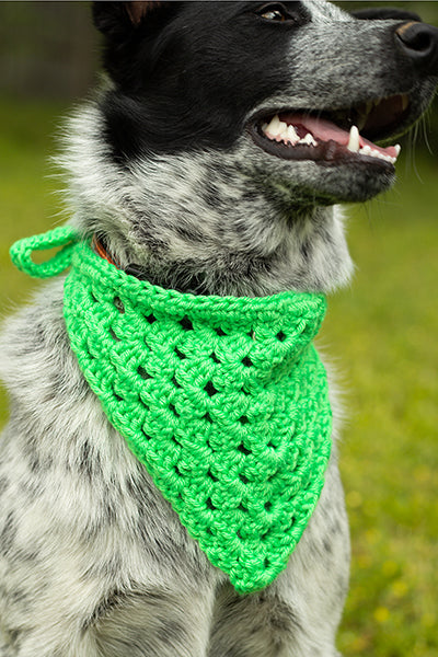 Best Bandana