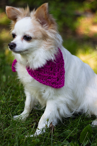 Best Bandana