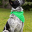 Best Bandana - Prismatic Fiber Arts