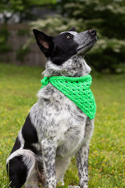 Best Bandana