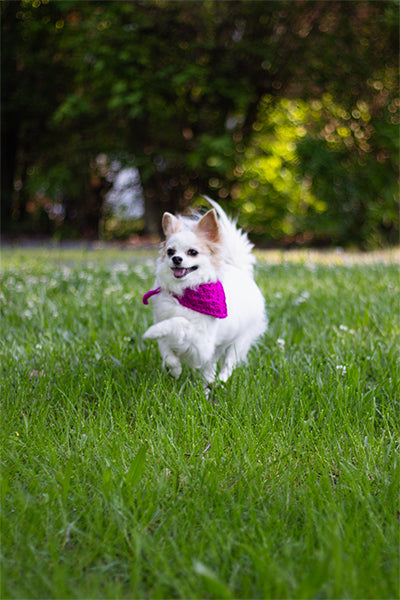 Best Bandana