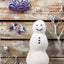 Snowfolk 2023 Kit