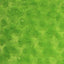 Swirl Rosebud Faux Fur Fabric - Prismatic Fiber Arts