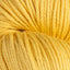 Pima 100 Yarn