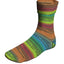 Super Soxx Color 4-Ply Yarn
