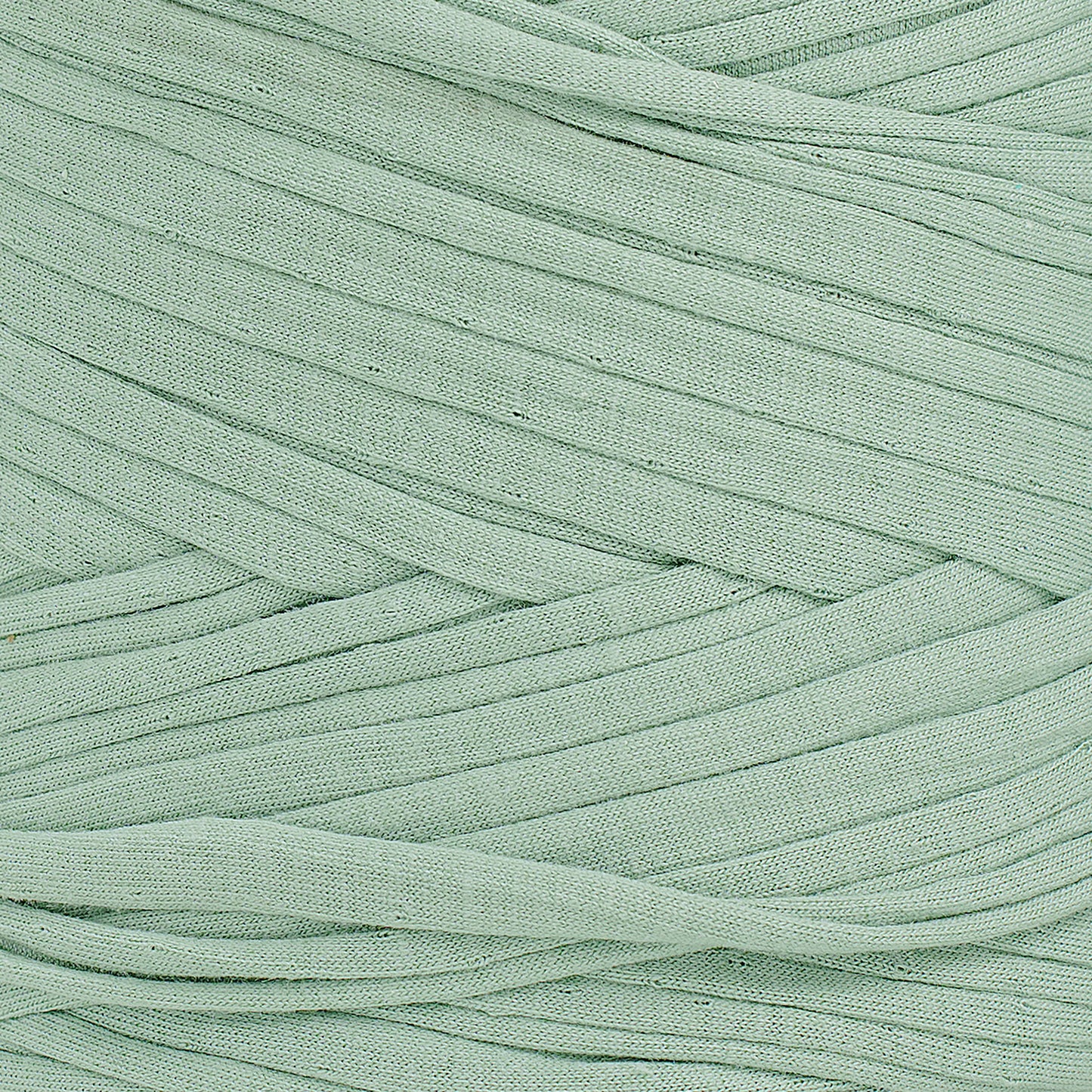 Recycled T-Shirt Fabric Yarn - Agave Color - Prismatic Fiber Arts