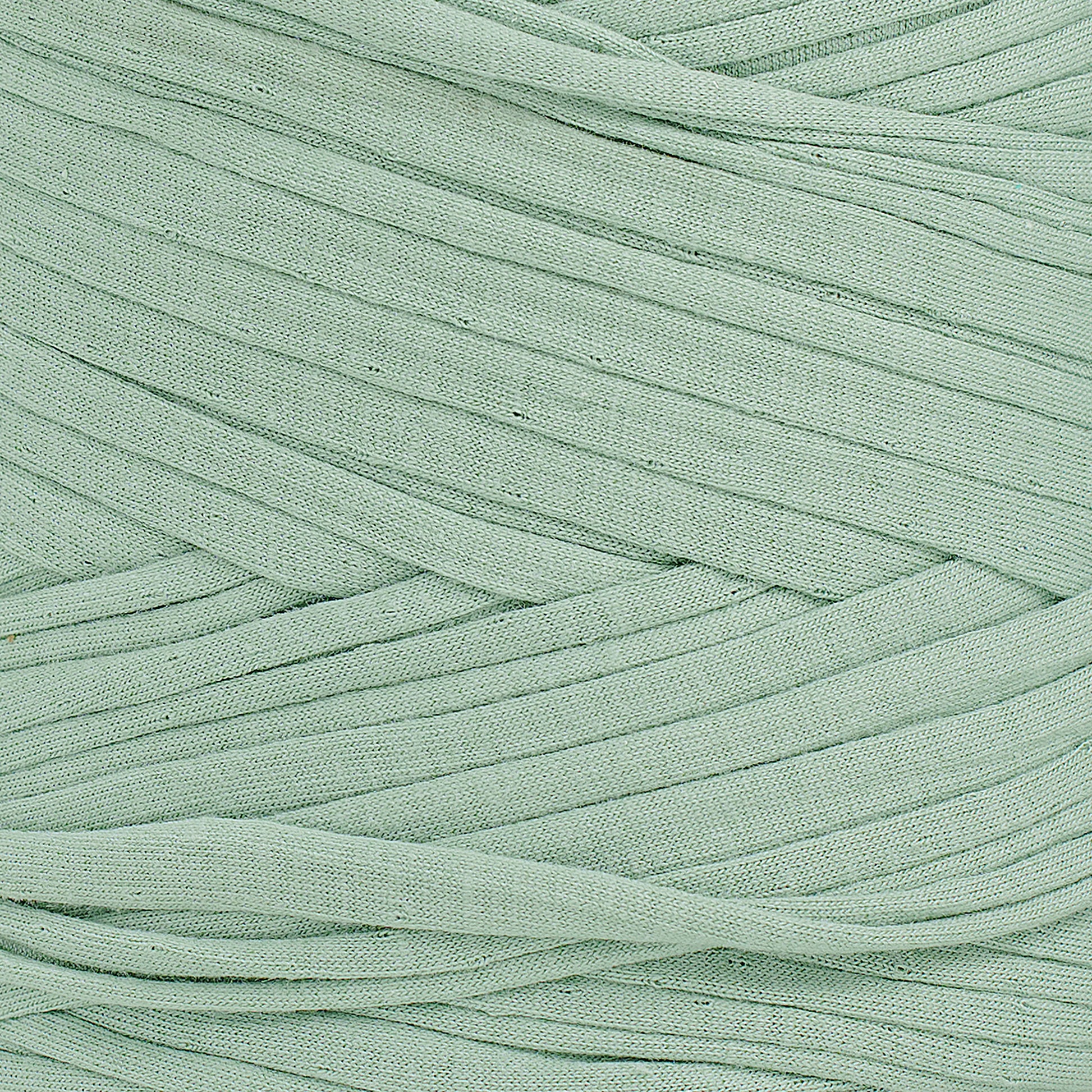 Recycled T-Shirt Fabric Yarn - Agave Color - Prismatic Fiber Arts
