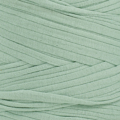 Recycled T-Shirt Fabric Yarn - Agave Color - Prismatic Fiber Arts