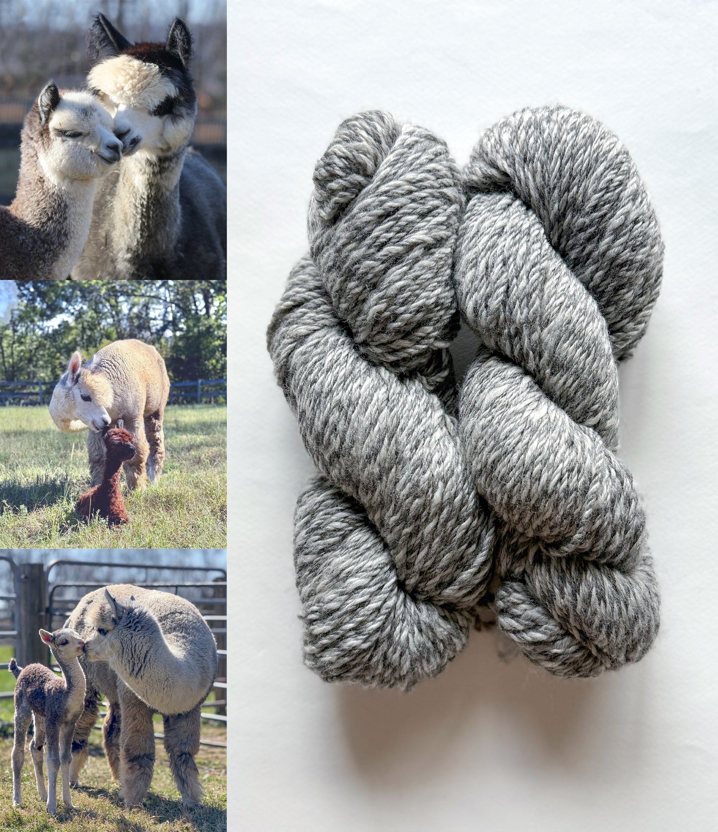 All Natural 3ply Farm Yarn - Prismatic Fiber Arts