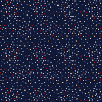 Admiral Stars Path to Freedom Cotton 44"/45" Fabric Per Yard - Prismatic Fiber Arts
