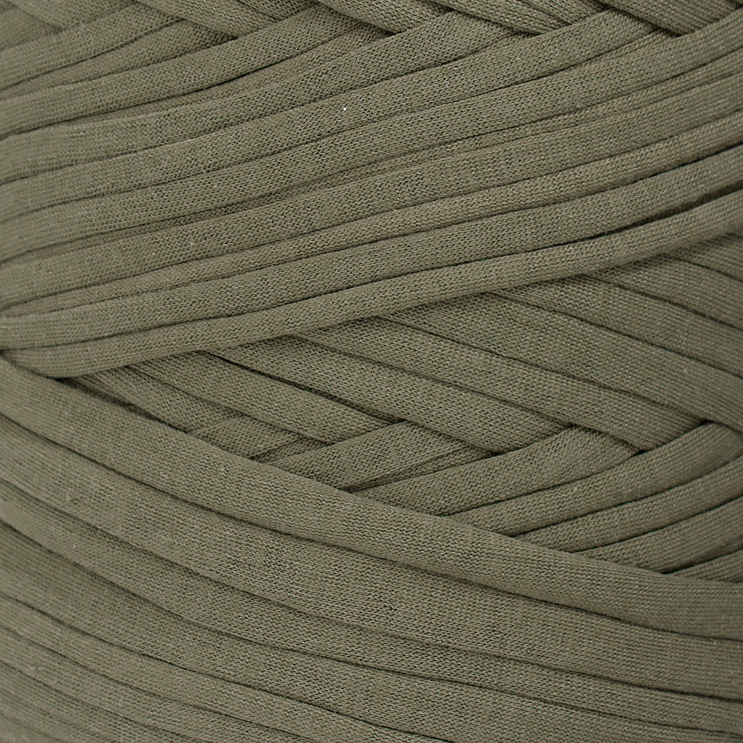 Recycled T-Shirt Fabric Yarn - Basil Color - Prismatic Fiber Arts
