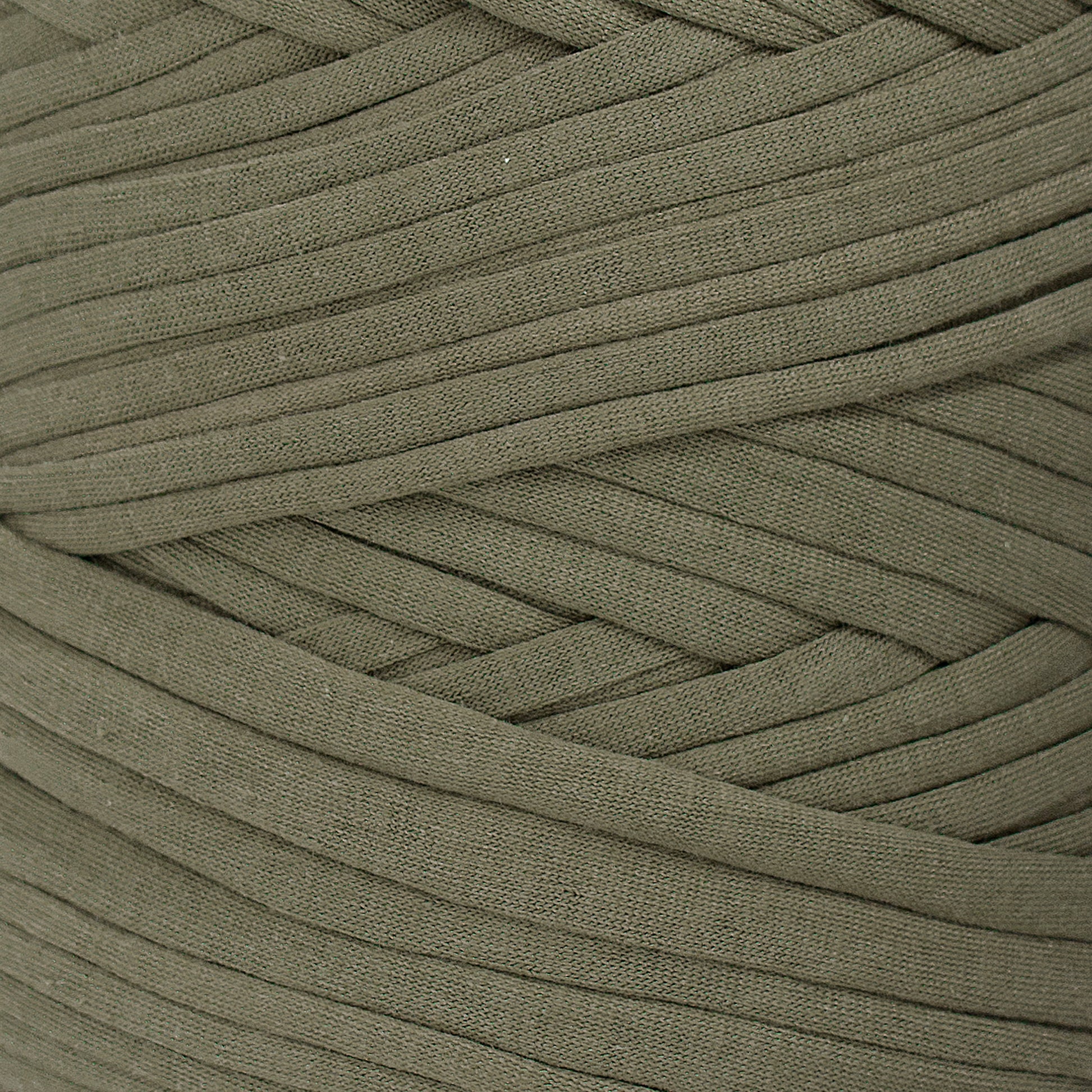 Recycled T-Shirt Fabric Yarn - Basil Color - Prismatic Fiber Arts