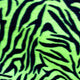 Zebra Print Fleece Fabric - Prismatic Fiber Arts