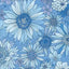Blue Best Friends Sleepovers Cotton Wideback Fabric per yard - Prismatic Fiber Arts