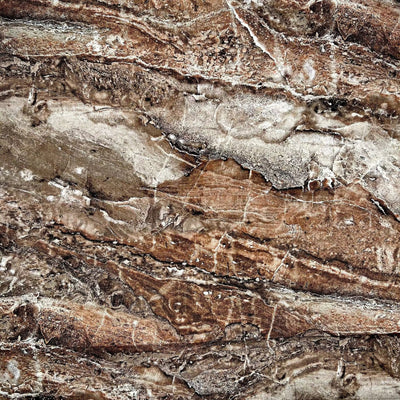 Brown Latte Surfaces Cotton Wideback Fabric per yard - Prismatic Fiber Arts