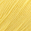 Deluxe Worsted Superwash Yarn