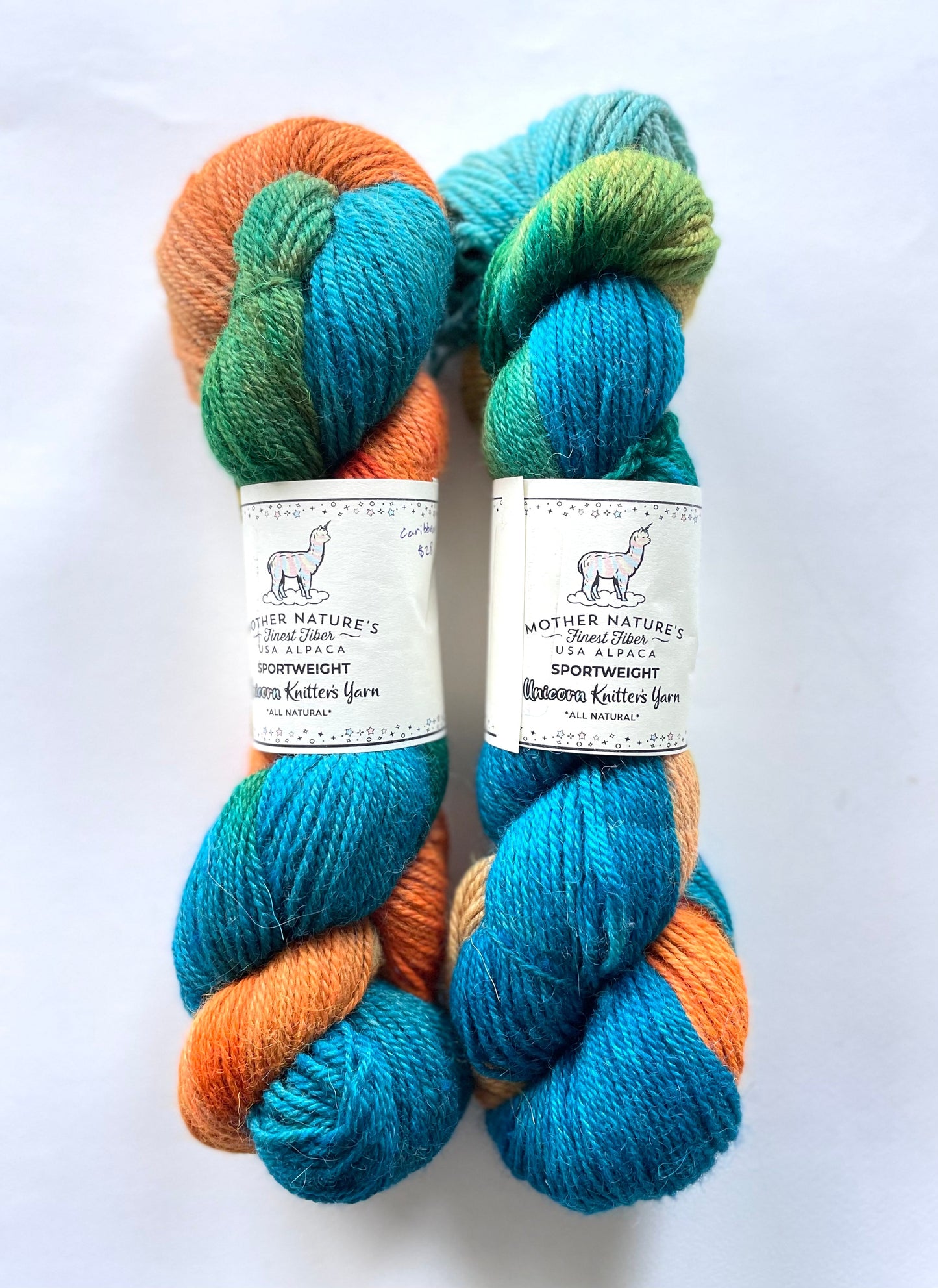 Sport Alpaca & Merino Hand Painted Yarn - Prismatic Fiber Arts