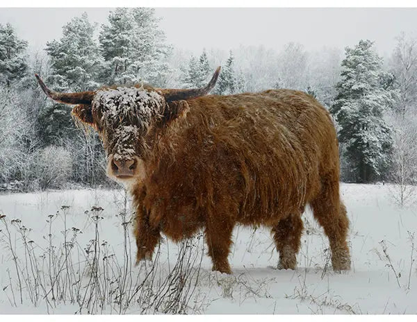 Call of the Wild Spectrum Digital Print (42” x 32”) Panel - Prismatic Fiber Arts