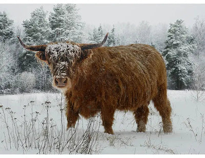Call of the Wild Spectrum Digital Print (42” x 32”) Panel - Prismatic Fiber Arts